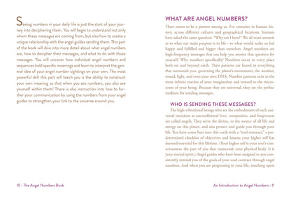 Angel Numbers Book - Mystic Michaela