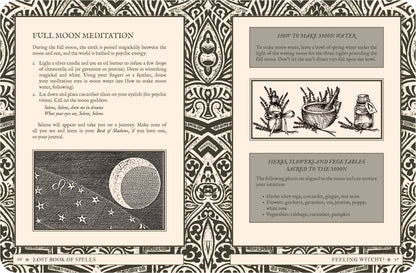 Lost Book of Spells - Fiona Horne