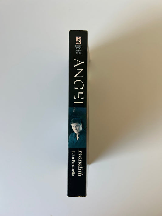 Angel Monolith - Nancy Holder