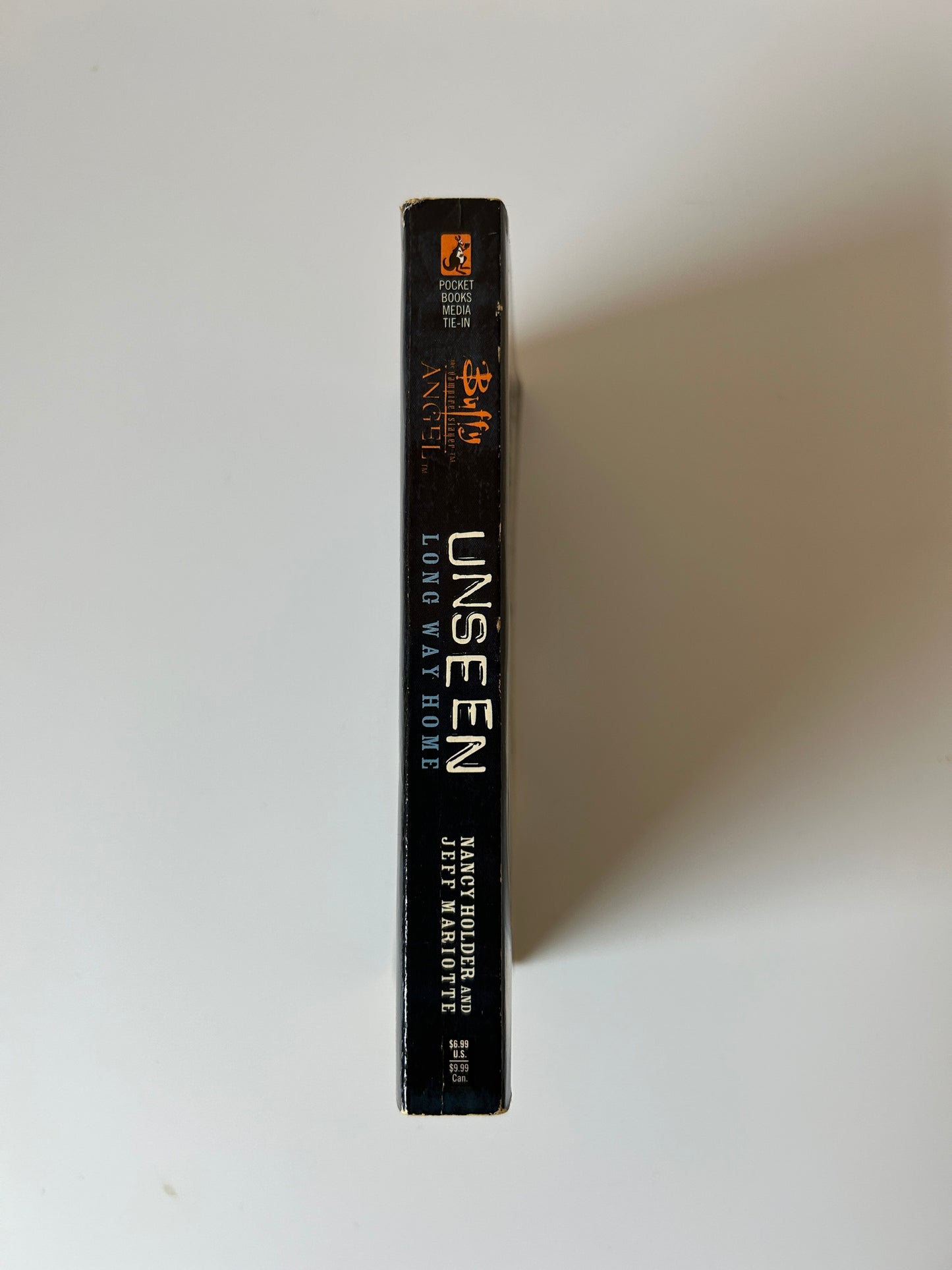 Buffy the Vampire Slayer & Angel: Unseen – Long Way Home (Book 3) Nancy Holder & Jeff Mariotte