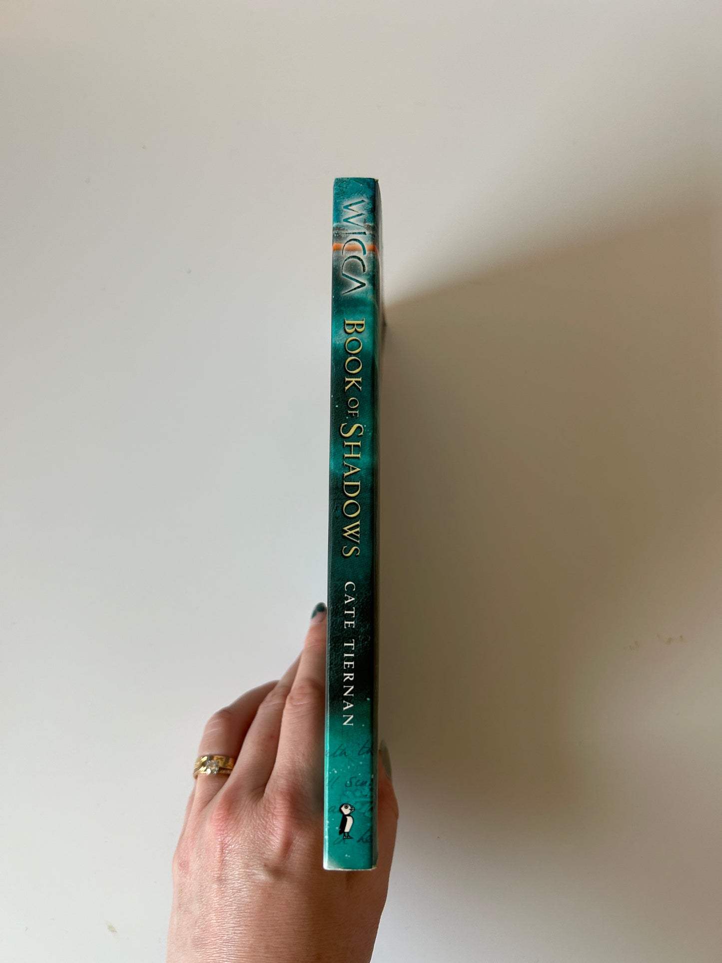 Book of Shadows (Wicca Series) – Cate Tiernan