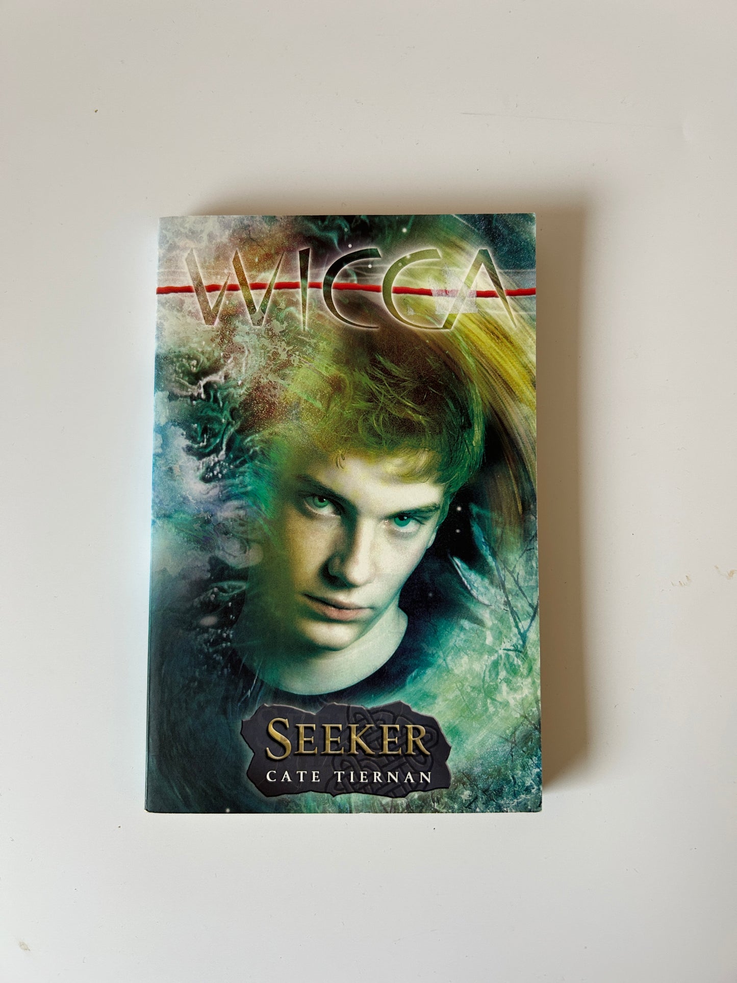 Seeker (Wicca Series) – Cate Tiernan