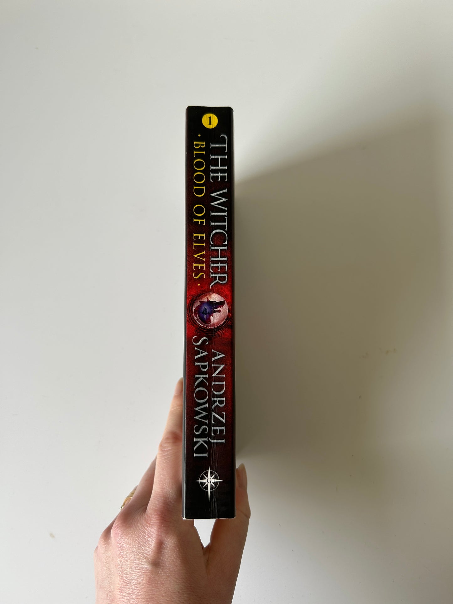 The Witcher: Blood of Elves – Andrzej Sapkowski