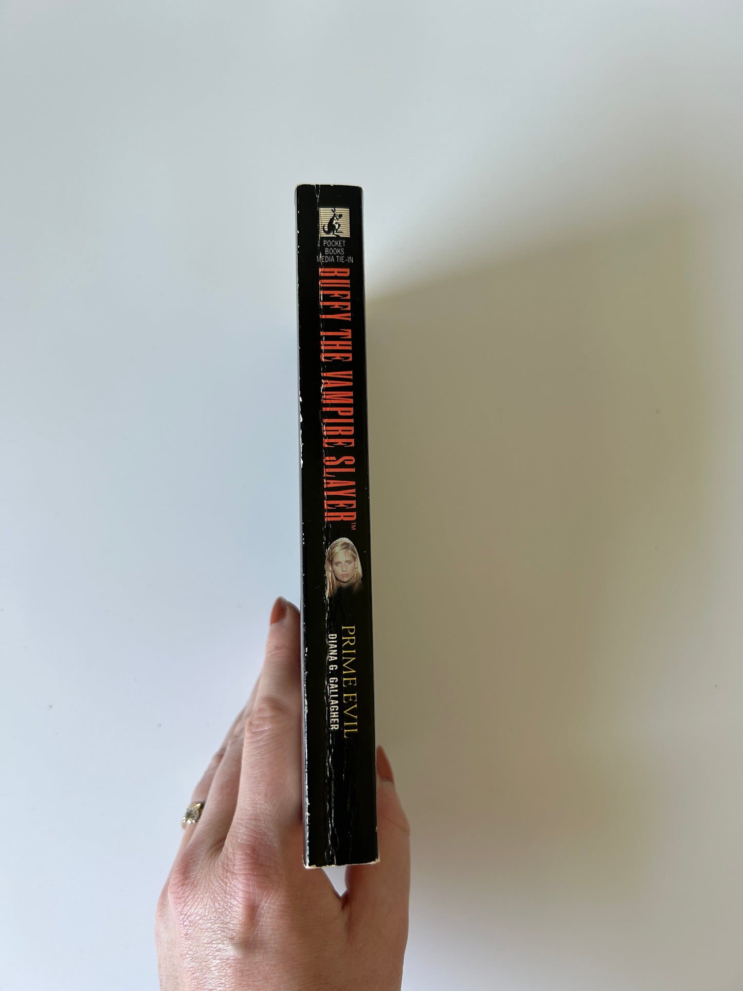 Buffy the Vampire Slayer: Prime Evil - Diana G. Gallagher