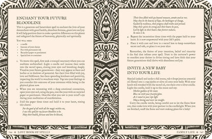 Lost Book of Spells - Fiona Horne