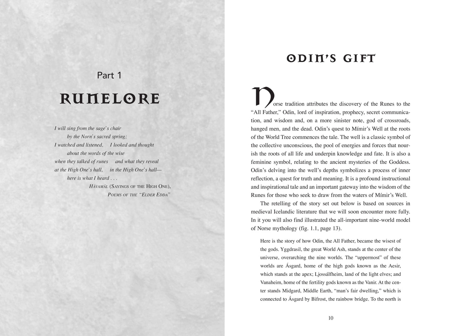 Nordic Runes - Paul Rhys Mountfort